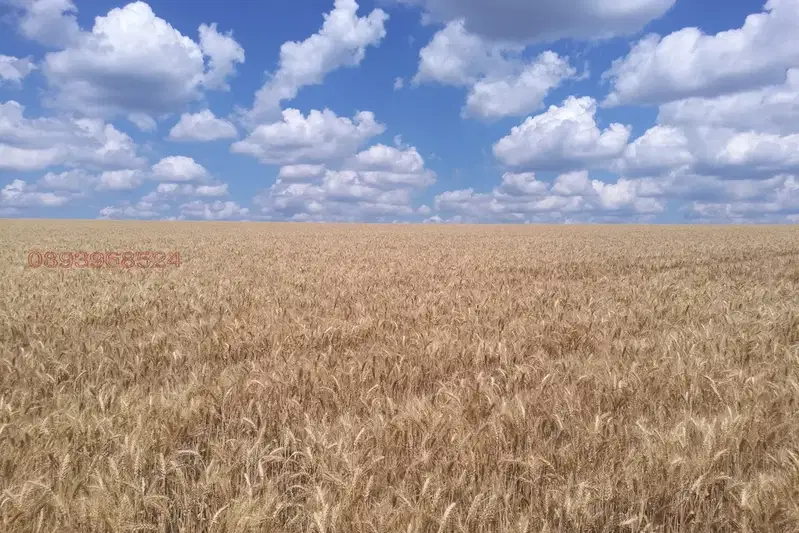 Земеделски имот в Добрич, с. Люляково