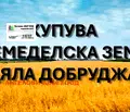 Снимка 2 — Земеделски имот в Добрич, с. Одринци