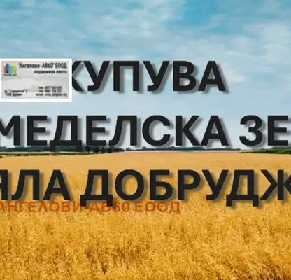 Photo 2 — Agricultural Land in Oblast Dobrich, Odrinci
