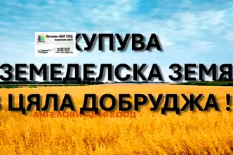 Земеделски имот в Добрич, с. Одринци
