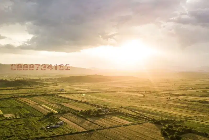 Agricultural Land in Oblast Dobrich, Tyulenovo