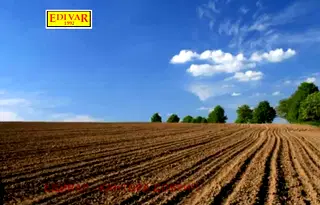 Земеделски имот в Добрич, с. Златия