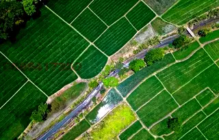 Земеделски имот в Хасково, Харманли