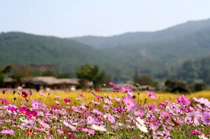 Agricultural Land in Oblast Haskovo, Krepost