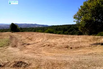 Земеделски имот в Кърджали, с. Невестино