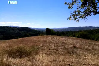 Земеделски имот в Кърджали, с. Невестино