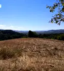 Земеделски имот в Кърджали, с. Невестино