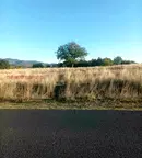 Земеделски имот в Кърджали, с. Пепелище