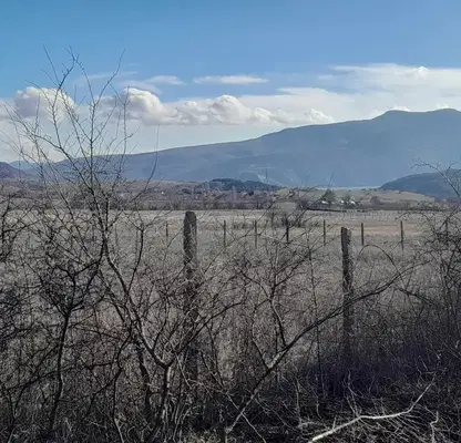 Photo 4 — Agricultural Land in Oblast Kyrdjali, с. Скалище