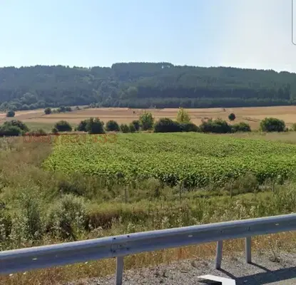 Photo 2 — Agricultural Land in Oblast Kyustendil, Dupnica