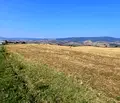 Снимка 4 — Земеделски имот в Кюстендил, Кочериново