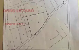 Земеделски имот в Кюстендил, Кочериново