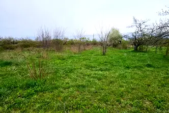 Земеделски имот в Кюстендил, Сапарева баня