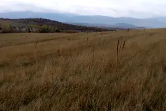 Земеделски имот в Кюстендил, с. Жиленци