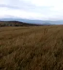 Земеделски имот в Кюстендил, с. Жиленци