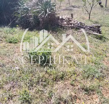Photo 2 — Arable Land in Kyustendil, Krainici