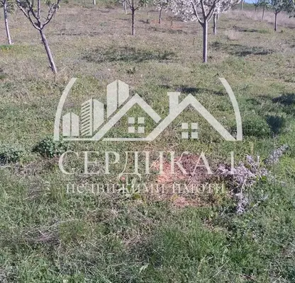 Photo 3 — Arable Land in Kyustendil, Krainici
