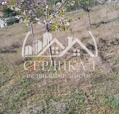 Photo 5 — Arable Land in Kyustendil, Krainici