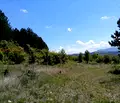 Снимка 4 — Земеделски имот в Ловеч, Ябланица
