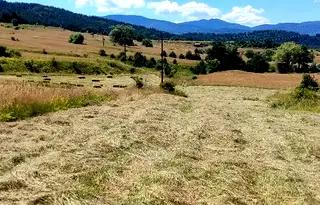 Земеделски имот в Пазарджик, Батак