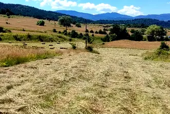 Земеделски имот в Пазарджик, Батак