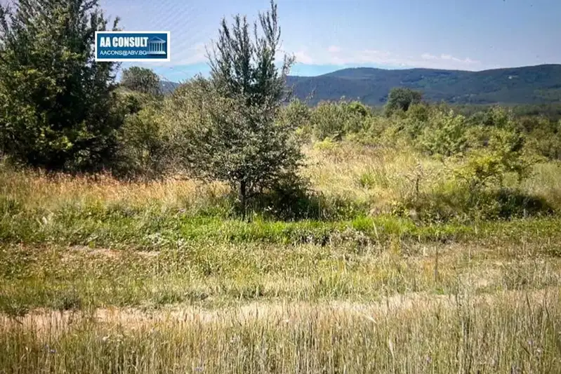 Нива в Пазарджик, Панагюрище