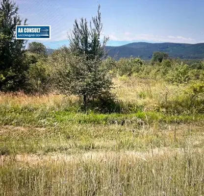 Photo 2 — Agricultural Land in Oblast Pazardjik, Panagyurishte