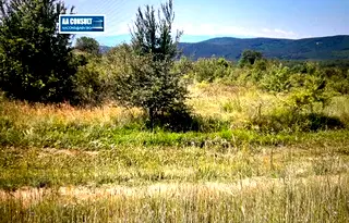 Земеделски имот в Пазарджик, Панагюрище