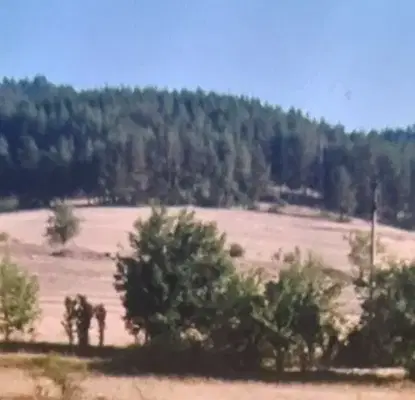 Photo 2 — Agricultural Land in Oblast Pazardjik, Велин