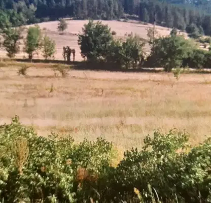 Photo 4 — Agricultural Land in Oblast Pazardjik, Велин
