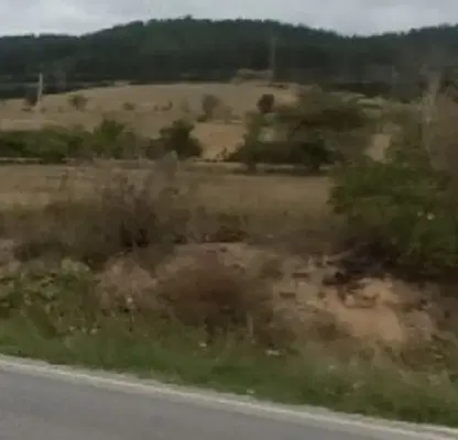 Photo 5 — Agricultural Land in Oblast Pazardjik, Велин