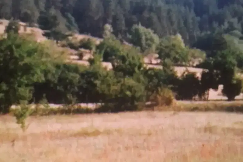 Земеделски имот в Пазарджик, Велин