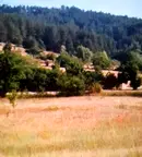 Земеделски имот в Пазарджик, Велин