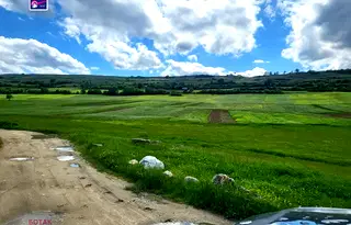 Земеделски имот в Пазарджик, с. Драгиново