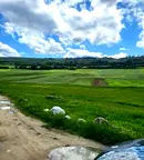 Земеделски имот в Пазарджик, с. Драгиново