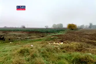 Земеделски имот в Пазарджик, с. Ивайло