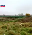 Земеделски имот в Пазарджик, с. Ивайло