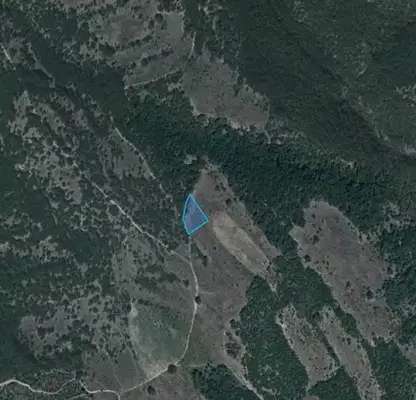 Photo 3 — Agricultural Land in Oblast Pazardjik, Lesichovo