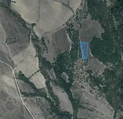 Photo 4 — Agricultural Land in Oblast Pazardjik, Lesichovo