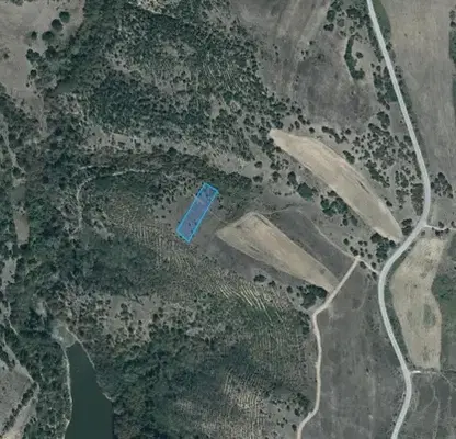 Photo 5 — Agricultural Land in Oblast Pazardjik, Lesichovo