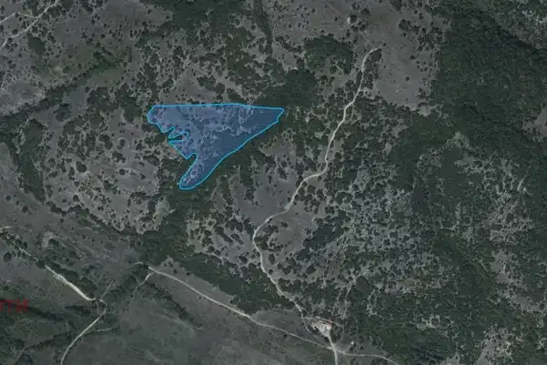 Agricultural Land in Oblast Pazardjik, Lesichovo