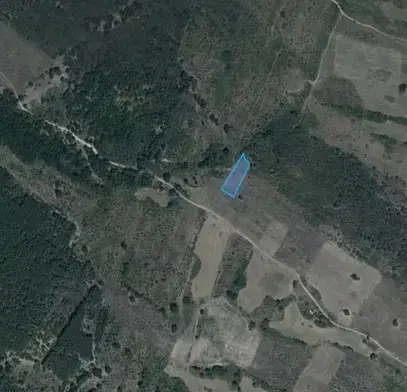 Photo 2 — Agricultural Land in Oblast Pazardjik, Levski
