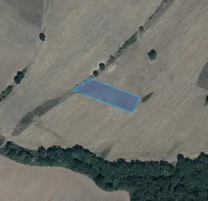 Photo 4 — Agricultural Land in Oblast Pazardjik, Levski