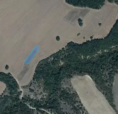 Photo 5 — Agricultural Land in Oblast Pazardjik, Levski