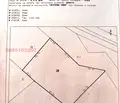 Снимка 2 — Земеделски имот в Пазарджик, с. Оборище