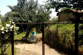 Земеделски имот в Пазарджик, с. Памидово
