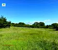 Снимка 2 — Земеделски имот в Пазарджик, с. Паталеница