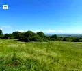 Снимка 3 — Земеделски имот в Пазарджик, с. Паталеница