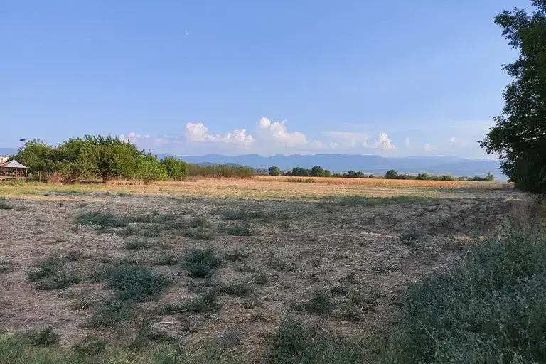 Agricultural Land in Oblast Pazardjik, Rosen