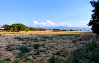 Земеделски имот в Пазарджик, с. Росен